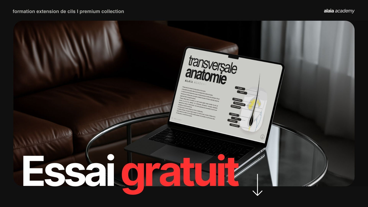 Formation en ligne : Cil à cil classic