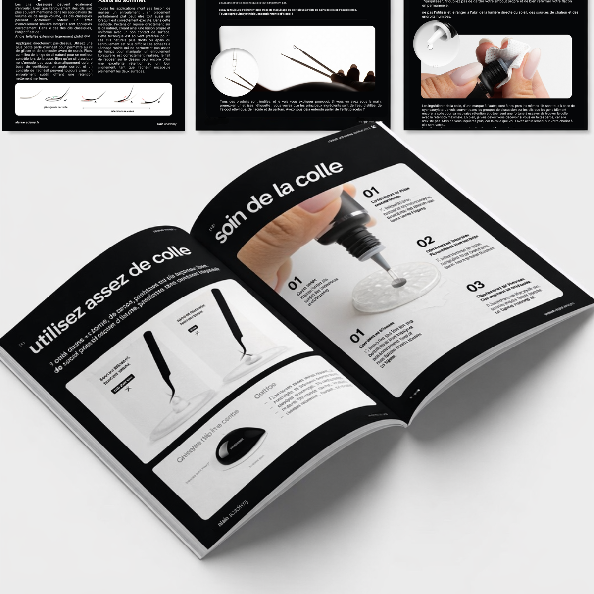 Guide expert – Optimisation de la rétention des extensions de cils (version imprimée)  – accès strictement réservé aux élèves